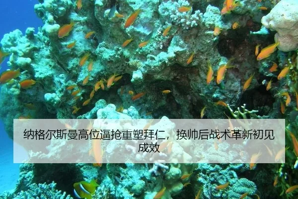na-ge-er-si-man-gao-wei-bi-qiang-zhong-su-bai-ren-huan-shuai-hou-zhan-shu-ge-xin-chu-jian-cheng-xiao-2-860.jpg