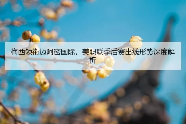 mei-xi-ling-xian-mai-a-mi-guo-ji-mei-zhi-lian-ji-hou-sai-chu-xian-xing-shi-shen-du-jie-xi-2-301.jpg