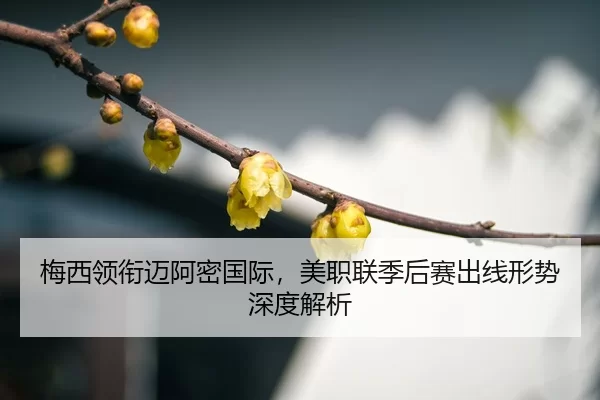 mei-xi-ling-xian-mai-a-mi-guo-ji-mei-zhi-lian-ji-hou-sai-chu-xian-xing-shi-shen-du-jie-xi-3-299.jpg