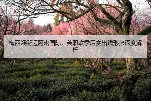 梅西领衔迈阿密国际，美职联季后赛出线形势深度解析